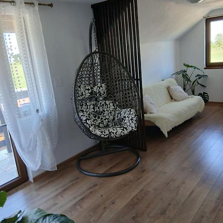Casa Loredana Cîrţişoara Εξωτερικό φωτογραφία