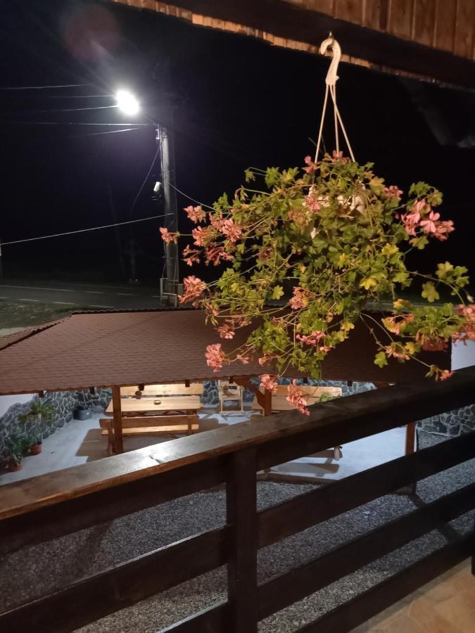 Casa Loredana Cîrţişoara Εξωτερικό φωτογραφία