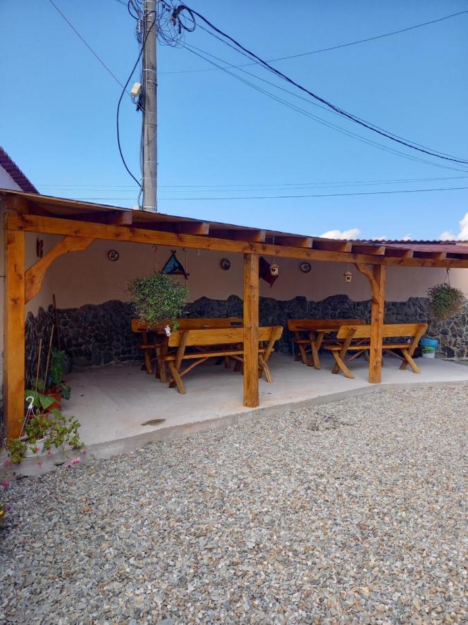 Casa Loredana Cîrţişoara Εξωτερικό φωτογραφία