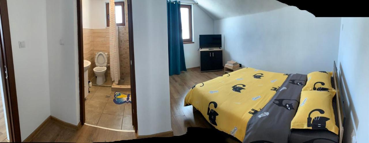 Casa Loredana Cîrţişoara Εξωτερικό φωτογραφία