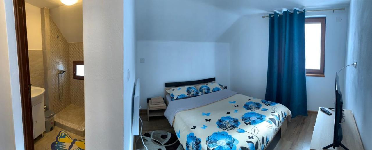 Casa Loredana Cîrţişoara Εξωτερικό φωτογραφία