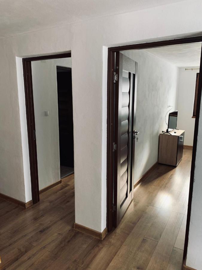 Casa Loredana Cîrţişoara Εξωτερικό φωτογραφία