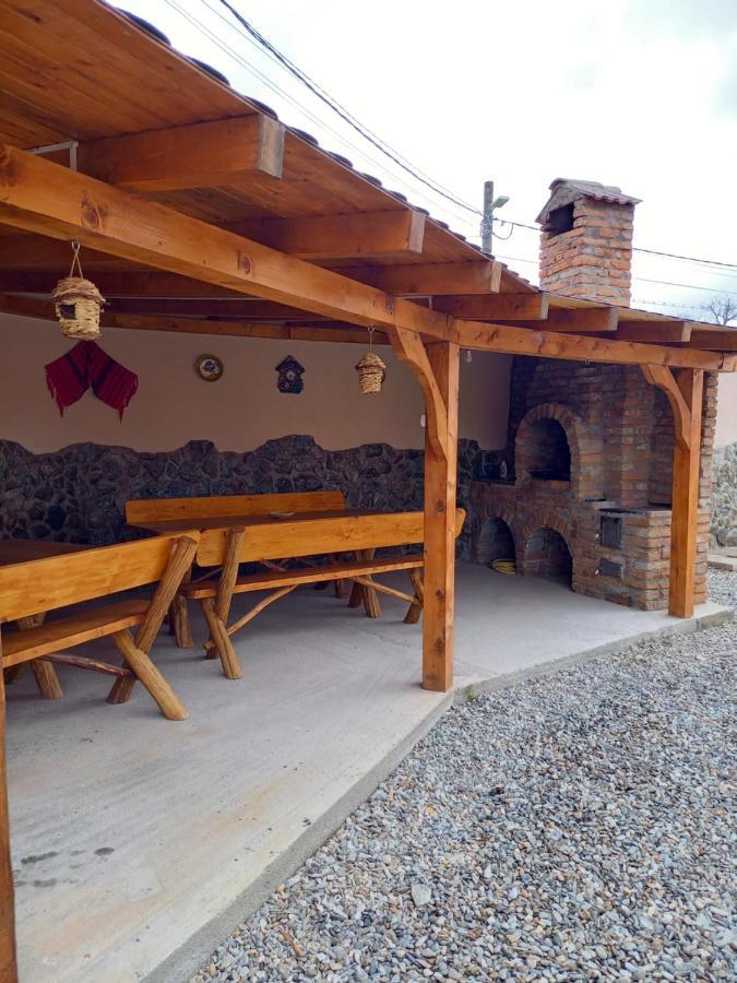 Casa Loredana Cîrţişoara Εξωτερικό φωτογραφία