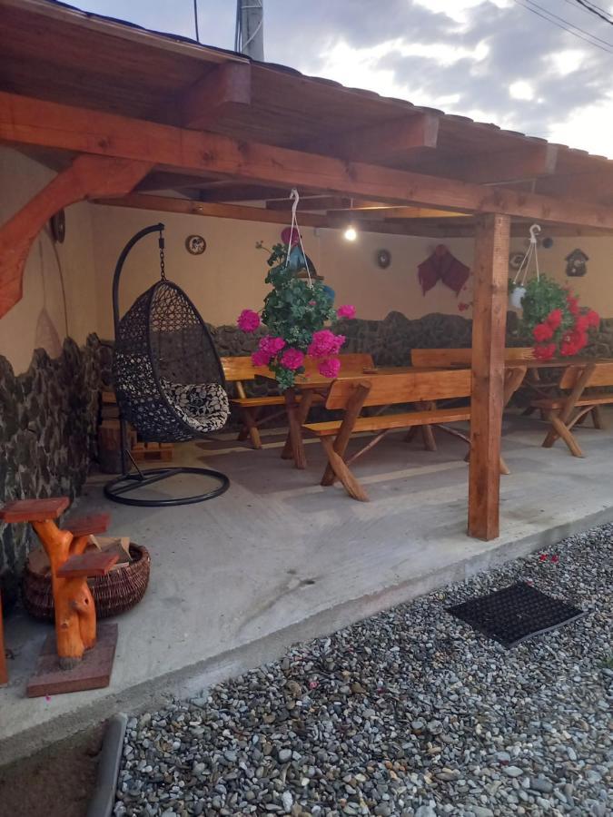 Casa Loredana Cîrţişoara Εξωτερικό φωτογραφία