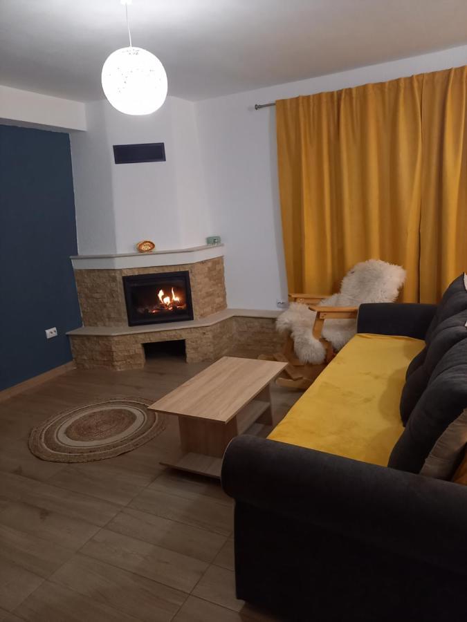 Casa Loredana Cîrţişoara Εξωτερικό φωτογραφία